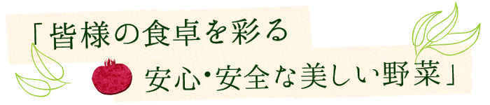 皆様の食卓を彩る安心・安全な美しい野菜