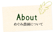 めぐみ農園について