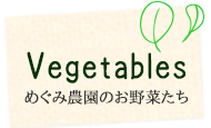 めぐみ農園のお野菜たち
