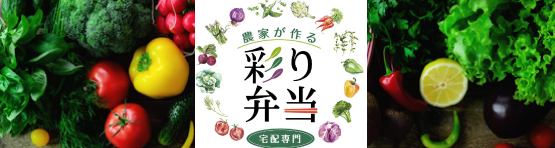 彩り弁当宅配専門